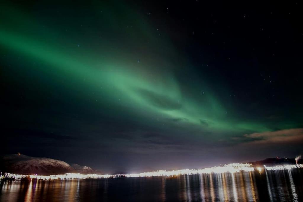 New Apartment Near The Sea Krokelvdalen Экстерьер фото